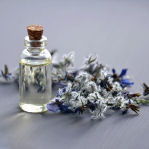 lavender-essential-oils
