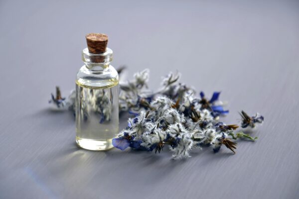 lavender-essential-oils
